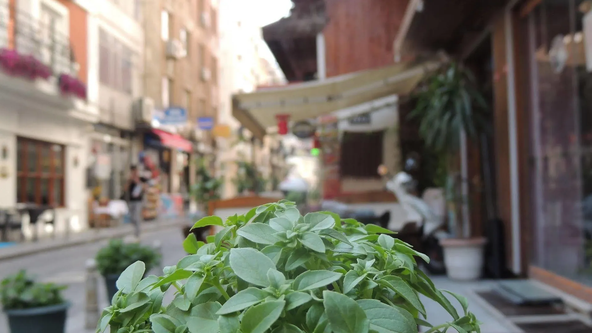 Sirkeci Quietness Hotel Stambuł